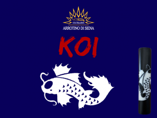 ARROTINO DI SIENA SAKU KOI...