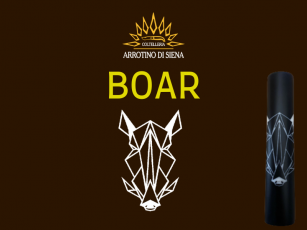 ARROTINO DI SIENA SAKU BOAR...