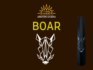 ARROTINO DI SIENA SAKU BOAR...