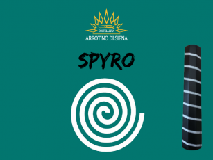 ARROTINO DI SIENA SAKU...
