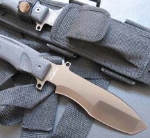 Militari