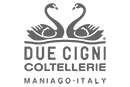 Due cigni